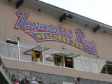 Saltdogs - June 17, 2017