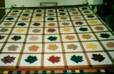 2009 Appliqued Leaves